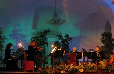 Février 2005 : Voyage et Bal à Vienne au Palais Pallavicini (Autriche)