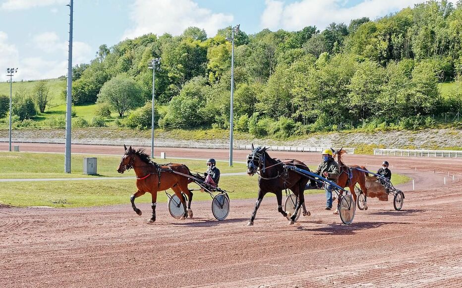 Attelage à l’hippodrome de Mauquenchy · photographie